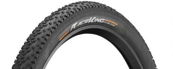 race king 29 x 2.2 protection